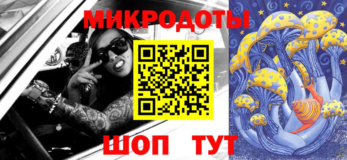Псилоцибиновые грибы Psilocybine cubensis Артём